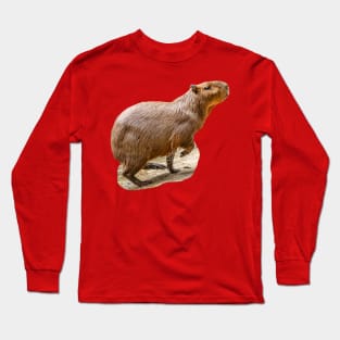 Out for a run Capybara Long Sleeve T-Shirt